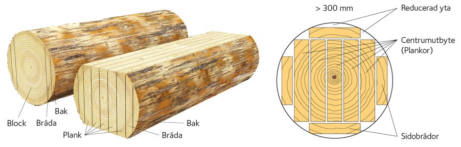 AVT-fig21-SE.jpg