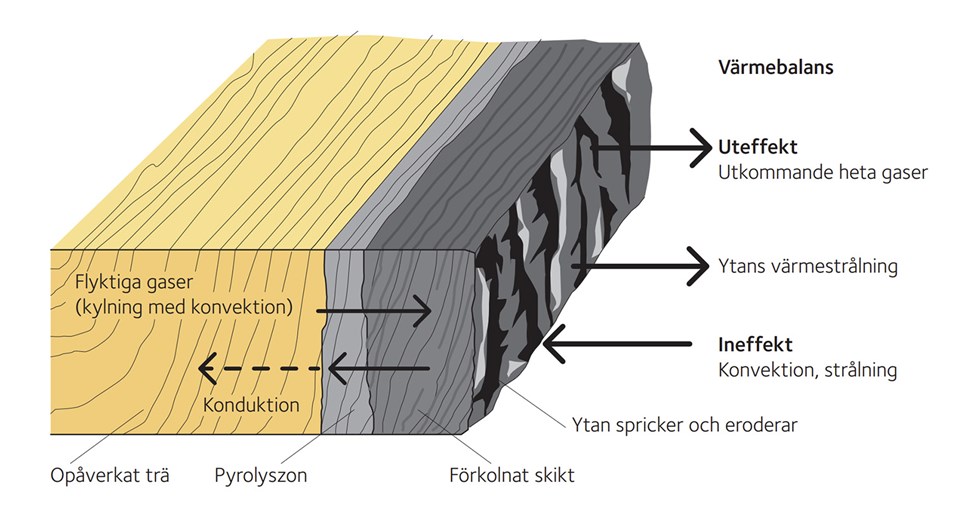 Fenomen vid förkolningsprocessen.jpg