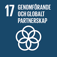 17-genomforande-och-globalt-partnerskap-liten.png